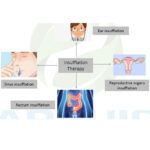 Patent Digital Control 1-120ug/ml Medical Ozone Generator with Vacuum and Destructor - Image 9
